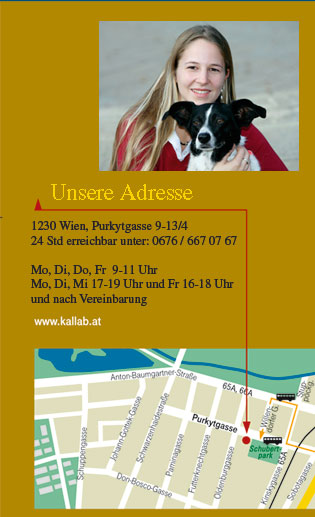 So finden Sie zu unserer Ordination